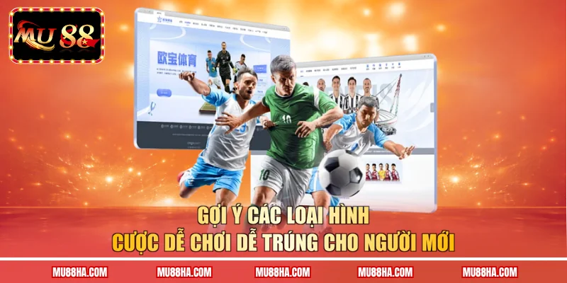 Gợi ý các loại hình cược dễ chơi dễ trúng cho người mới